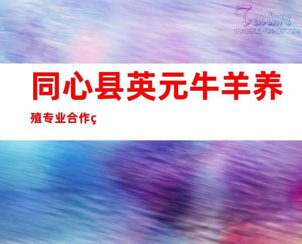 同心县英元牛羊养殖专业合作社