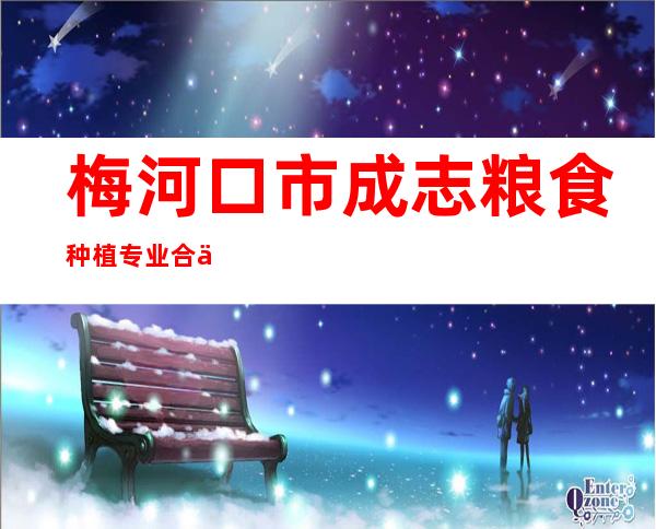 梅河口市成志粮食种植专业合作社